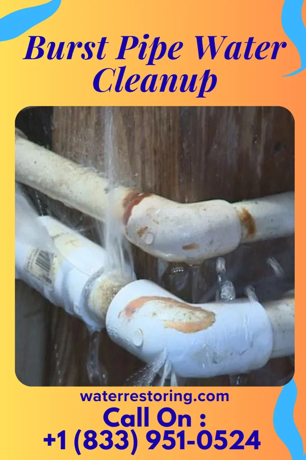 Burst Pipe Water Cleanup in Dryville, PA