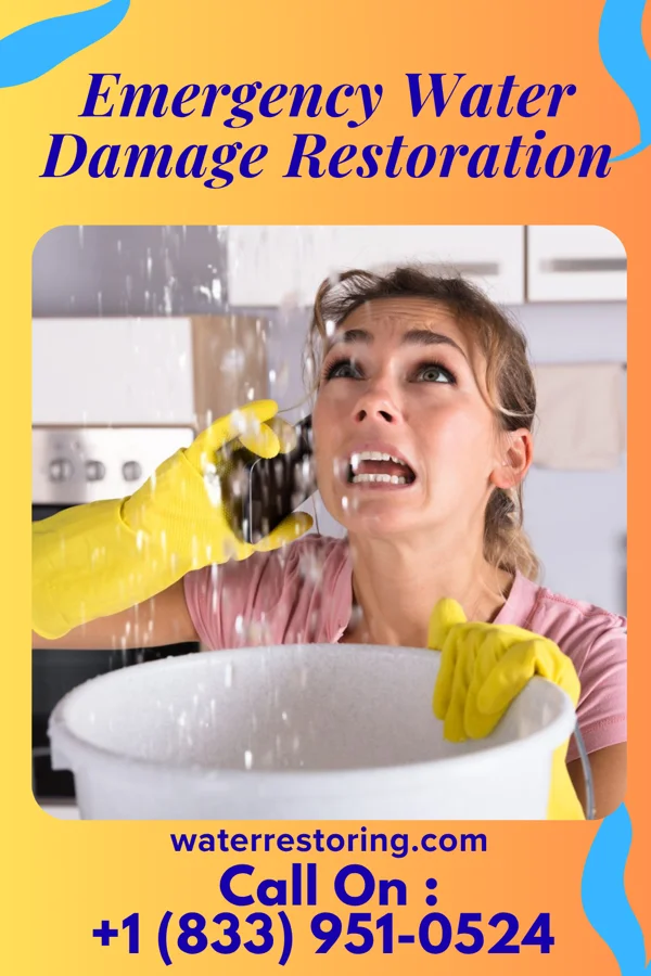 Emergency Water Damage Restoration in Dryville, PA