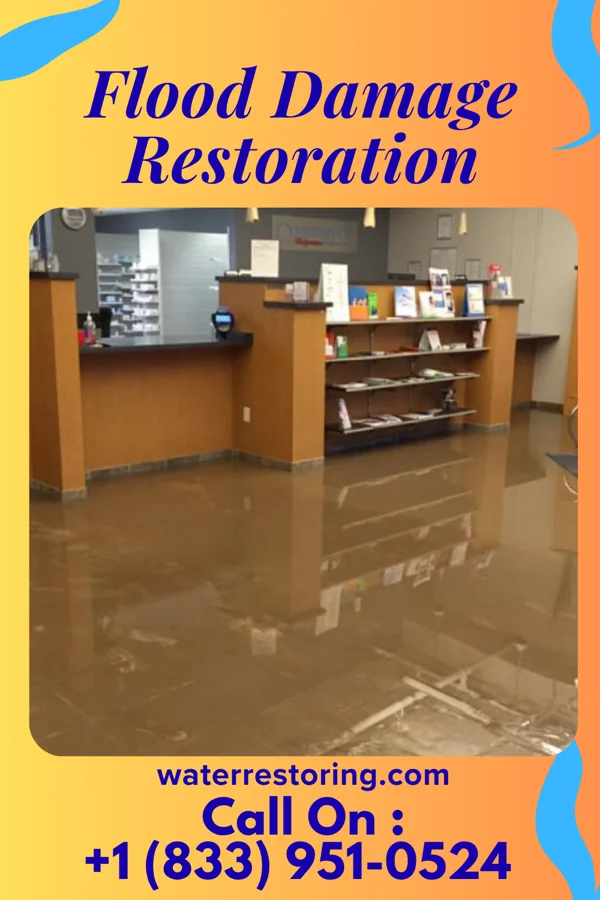 Flood Damage Restoration in Dryville, PA