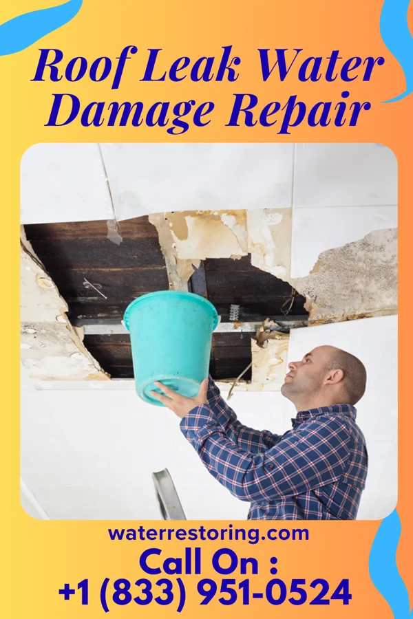 Roof Leak Water Damage Repair in Dryville, PA