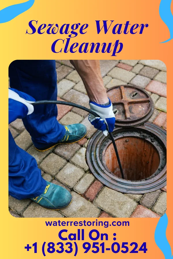 Sewage Water Cleanup in Dryville, PA