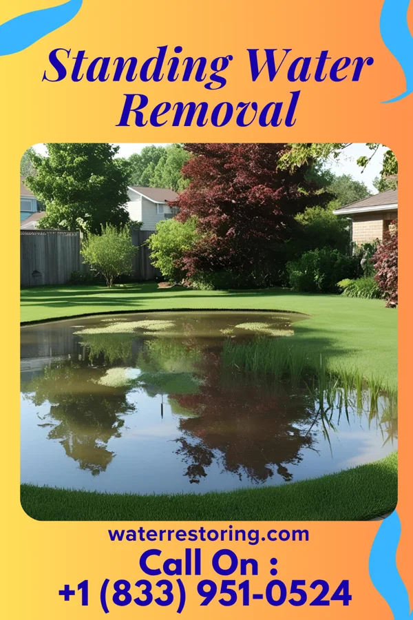 Standing Water Removal in Dryville, PA